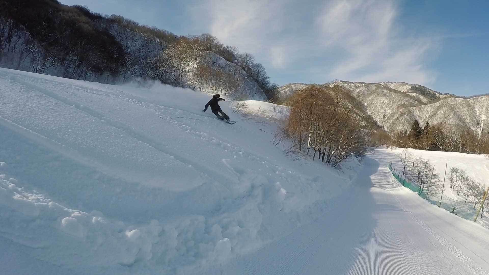 揖斐高原スキー場林間コース写真3