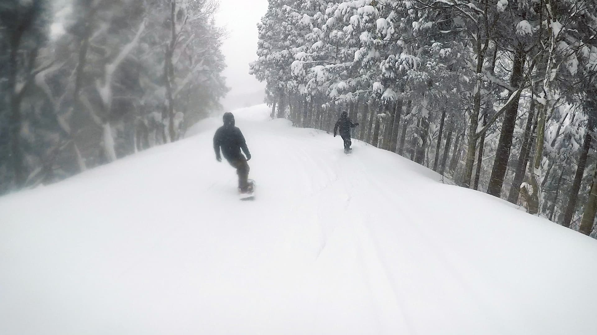 大倉岳高原スキー場ヴェーデルンコース迂回路写真