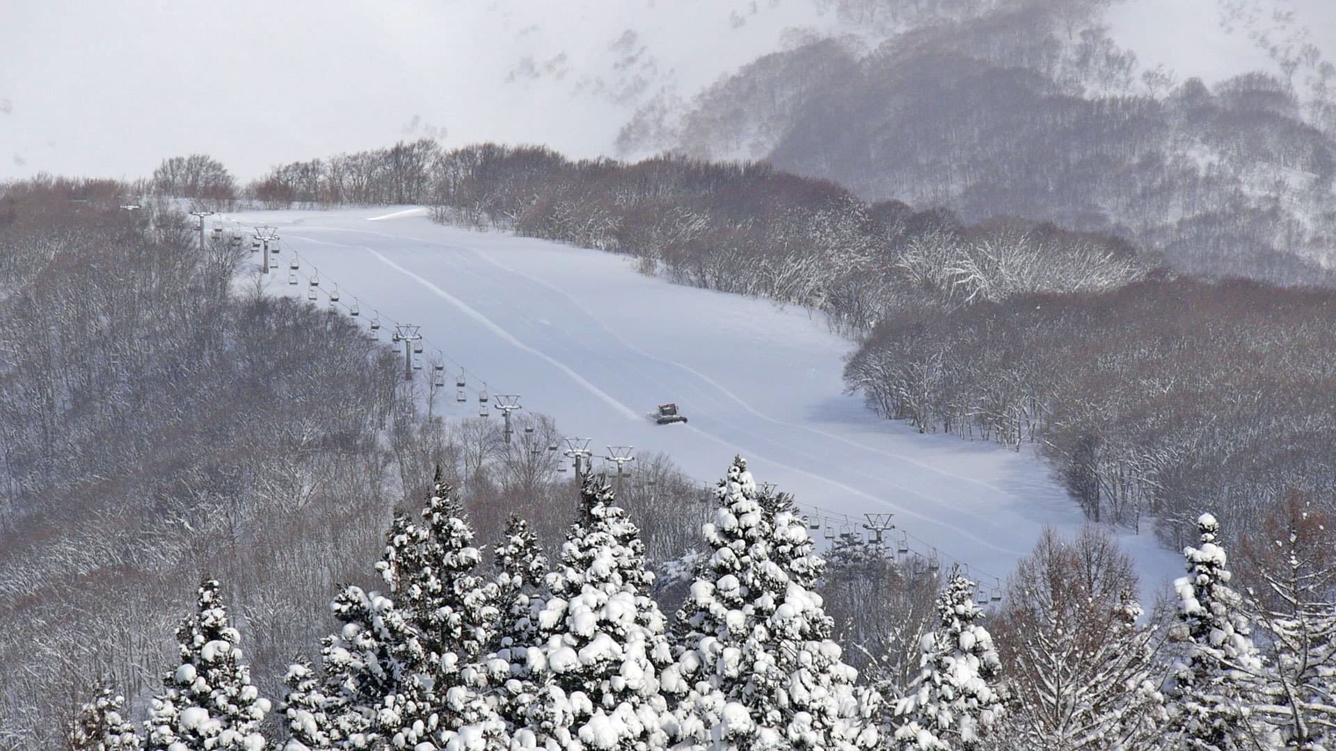 岩木山百沢スキー場 / 朝圧雪写真